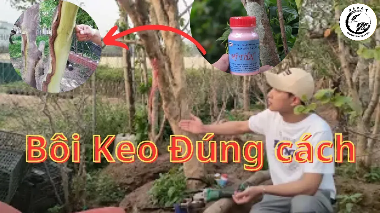 maxresdefault-18 Kỹ thuật bôi keo đúng cách giúp bảo vệ tối đa và thúc đẩy quá trình liền sẹo