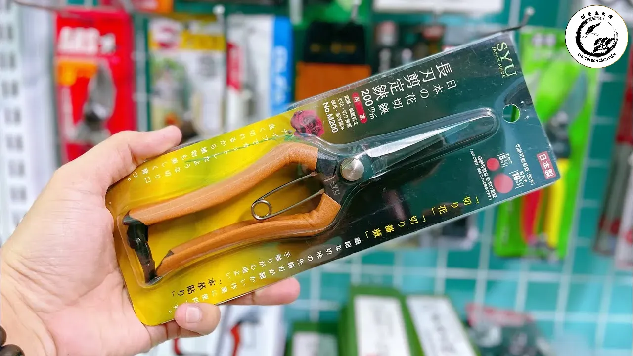Kỹ thuật tỉa dăm tỉ mỉ để tạo độ mịn và tròn cho tán lá mâm xôi