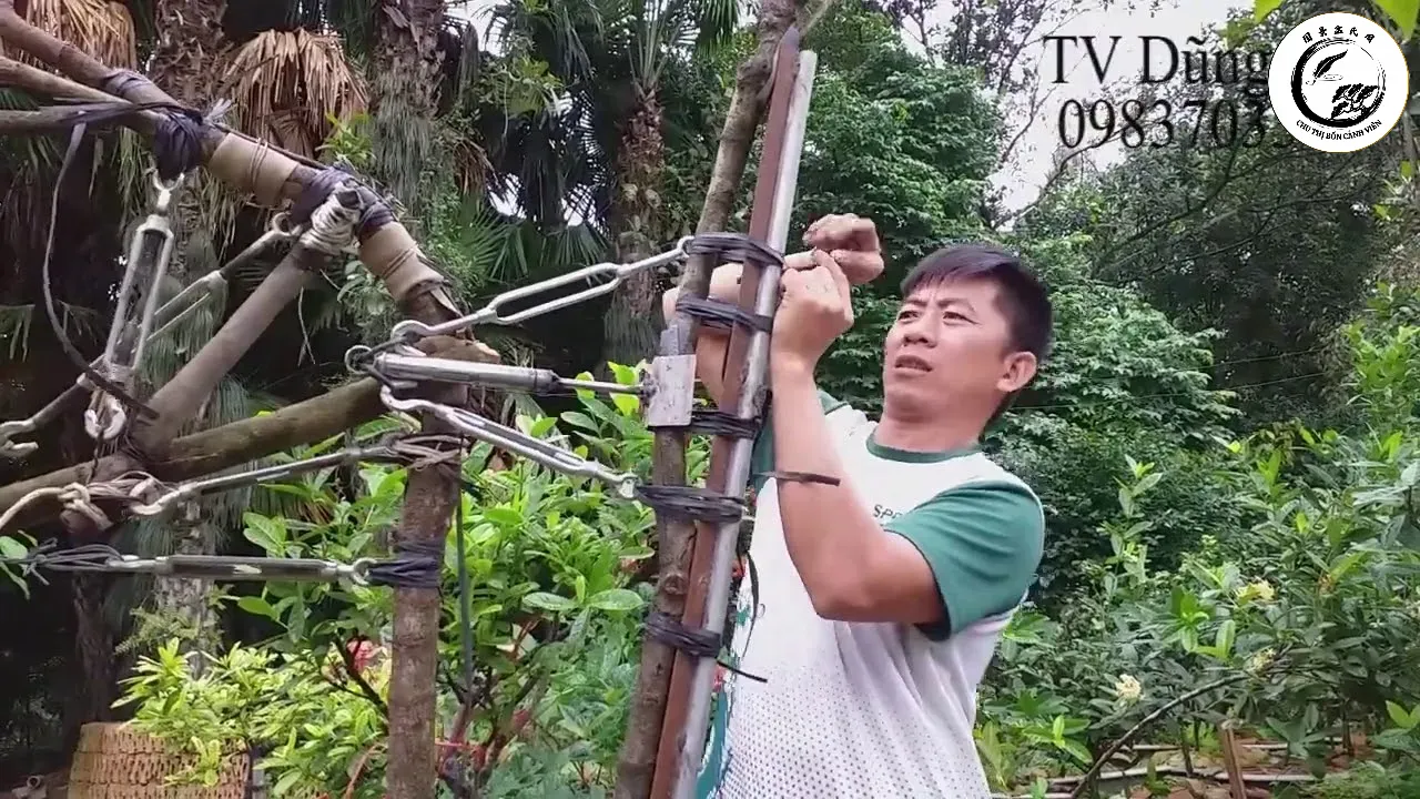 Quy trình vặn cảo cần sự tỉ mỉ và kiên nhẫn để bảo vệ cấu trúc sinh học của cây