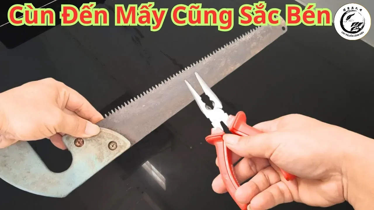 Lưỡi cưa được bảo trì thường xuyên sẽ có tuổi thọ cao và bề mặt cắt mịn màng