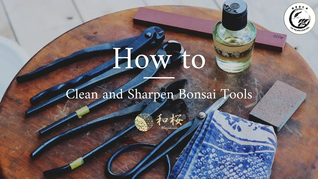 Quy trình vệ sinh và bôi dầu bảo quản kìm cạp xéo sau khi sử dụng