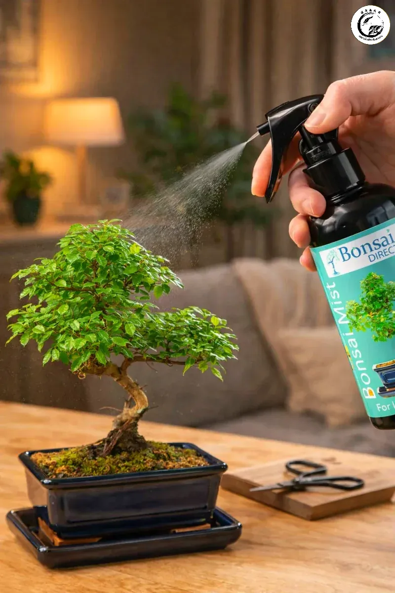 Môi trường độ ẩm cao là yếu tố then chốt giúp phôi cây hồi phục nhanh chóng