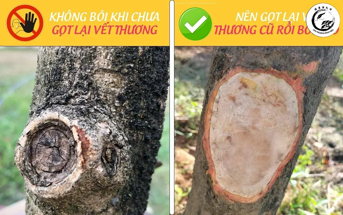 nen-got-lai-vet-cat-truoc-khi-boi-keo-lien-seo-ls-50_761f2cbcf0484ea2aed95e2cf5337c43_master Kỹ thuật bôi keo tỉ mỉ giúp vết cắt phẳng và nhanh kéo sẹo hơn