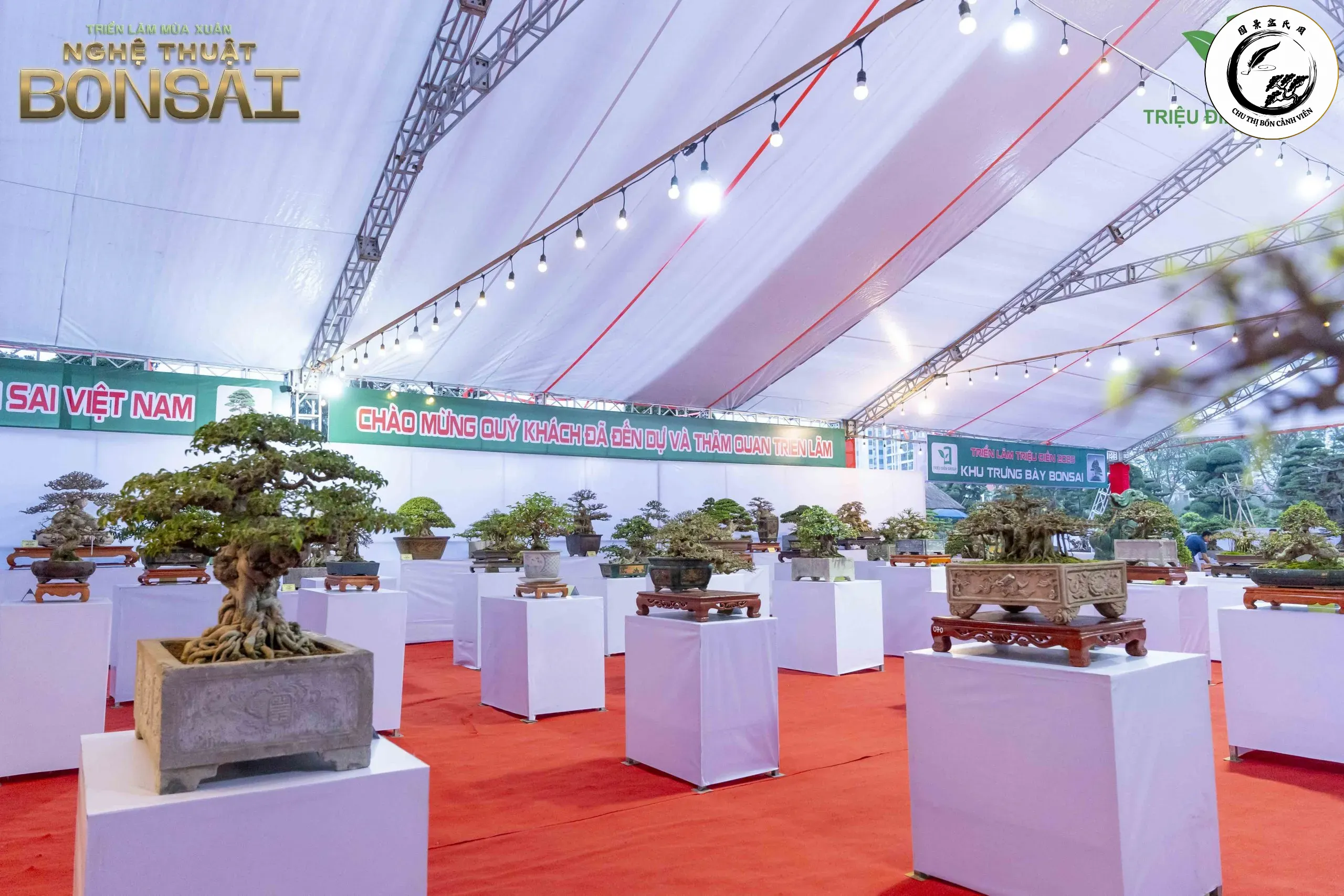 nghe-thuat-bonsai-11-scaled-1 Một tác phẩm bonsai hoàn thiện với mặt tiền chuẩn mực luôn thu hút mọi ánh nhìn
