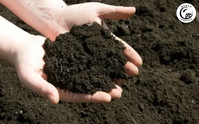 nhiet-do-u-phan Giám sát nhiệt độ và độ ẩm giúp tối ưu hóa quá trình phân hủy sinh học