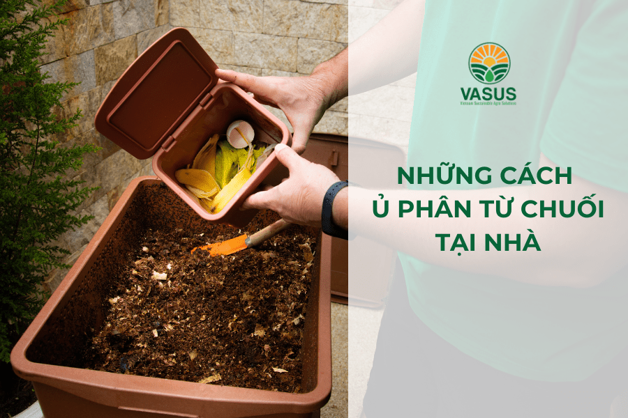 nhung-cach-u-phan-tu-chuoi Quy trình ủ dịch chuối đúng cách giúp bảo toàn tối đa hàm lượng dinh dưỡng