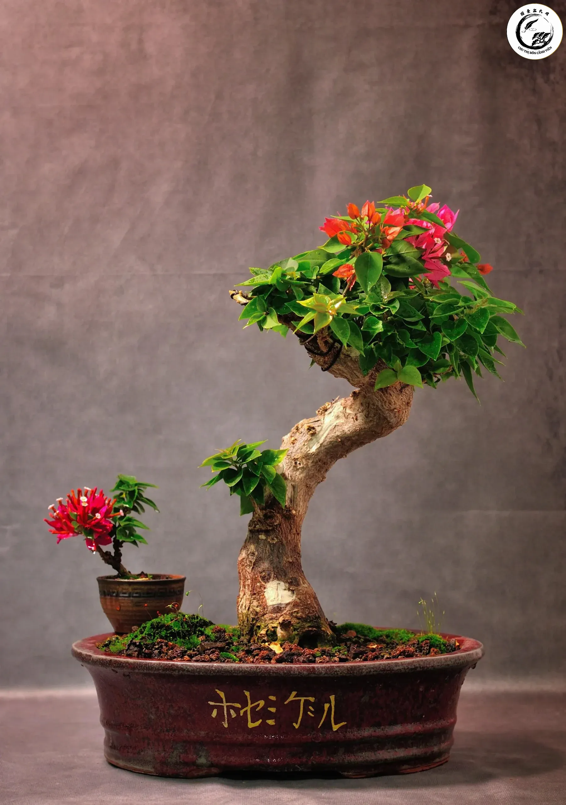 Sự tương quan giữa thân lớn và thân nhỏ tượng trưng cho sự dìu dắt và bảo vệ của cha dành cho con