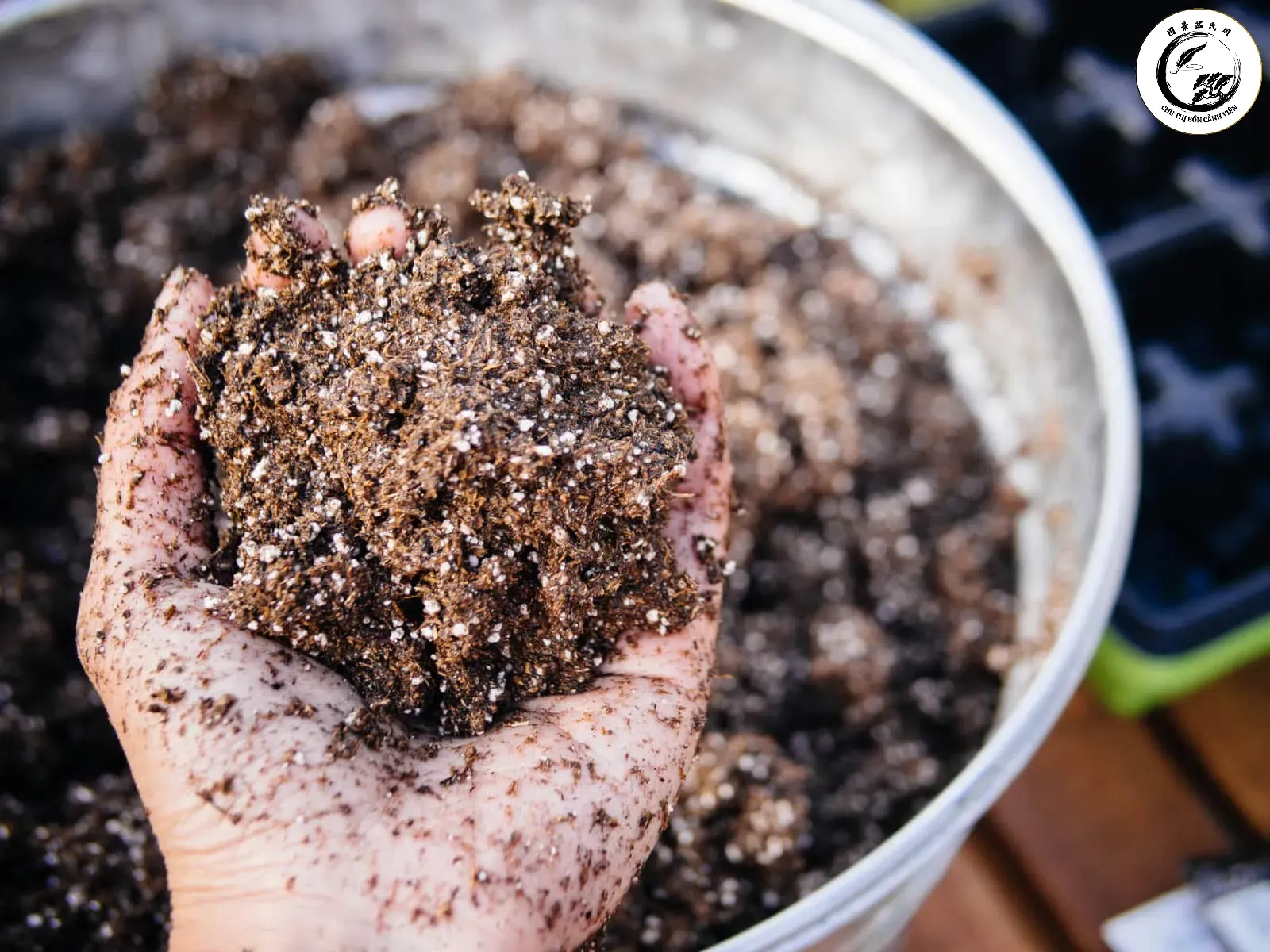 perlite-04 Sử dụng đá Perlite trắng trộn cùng đất trồng giúp cải thiện cấu trúc giá thể tối ưu