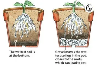 phu-be-mat-va-lot-day-chau-cay-canh-bang-vien-dat-nung-3 Cấu trúc lỗ rỗng của đất nung giúp điều hòa độ ẩm và cung cấp oxy trực tiếp cho bộ rễ