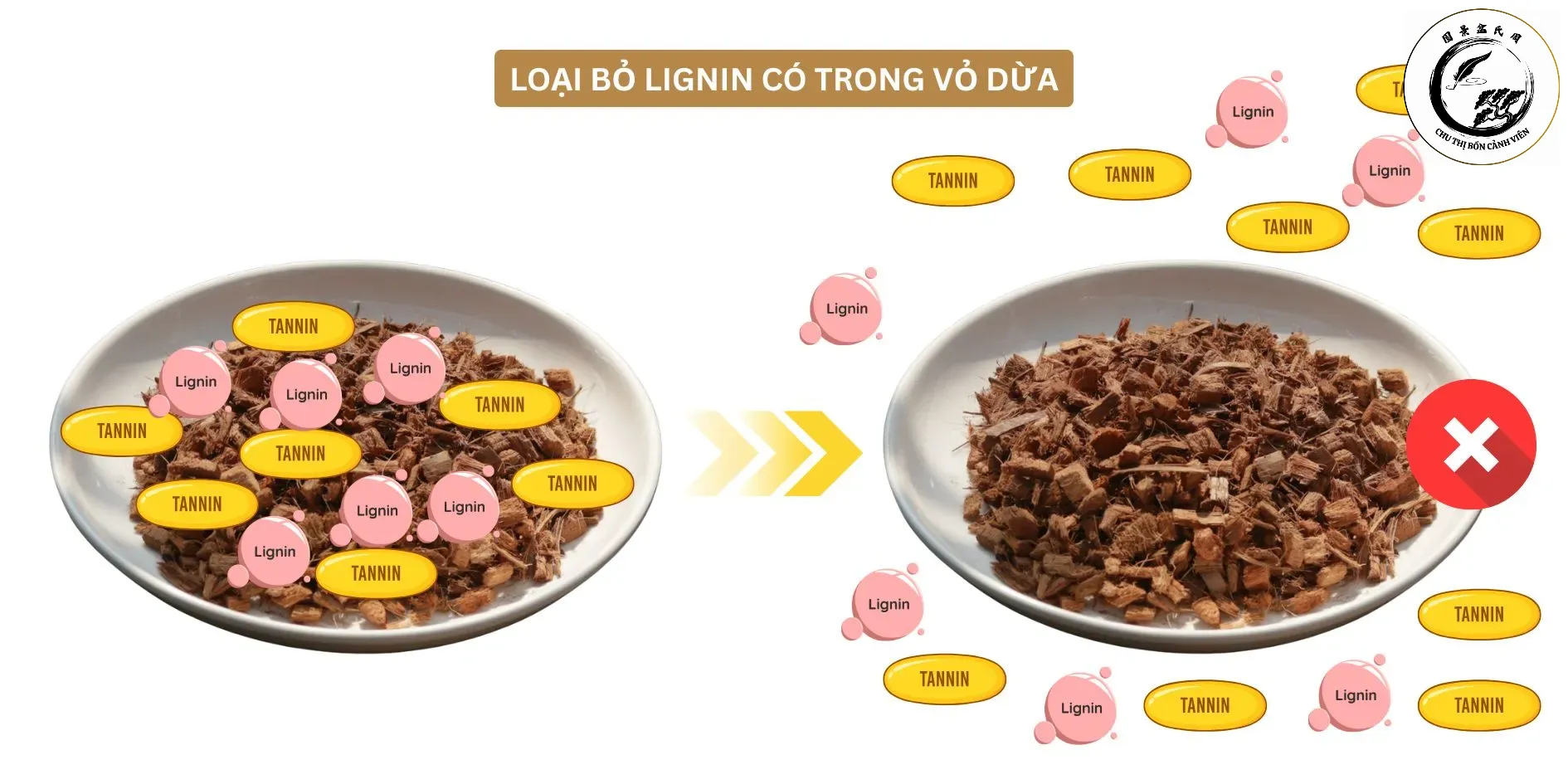 Xử lý xơ dừa kỹ lưỡng là bước bắt buộc để bảo vệ bộ rễ cây trồng
