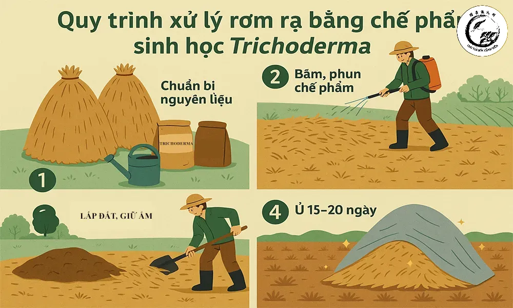 quy-trinh-xu-ly-rom-ra-bang-trichoderma-4-3 Phối trộn đều các nguyên liệu là bước quan trọng trong quy trình Trichoderma ủ phân chuồng diệt nấm