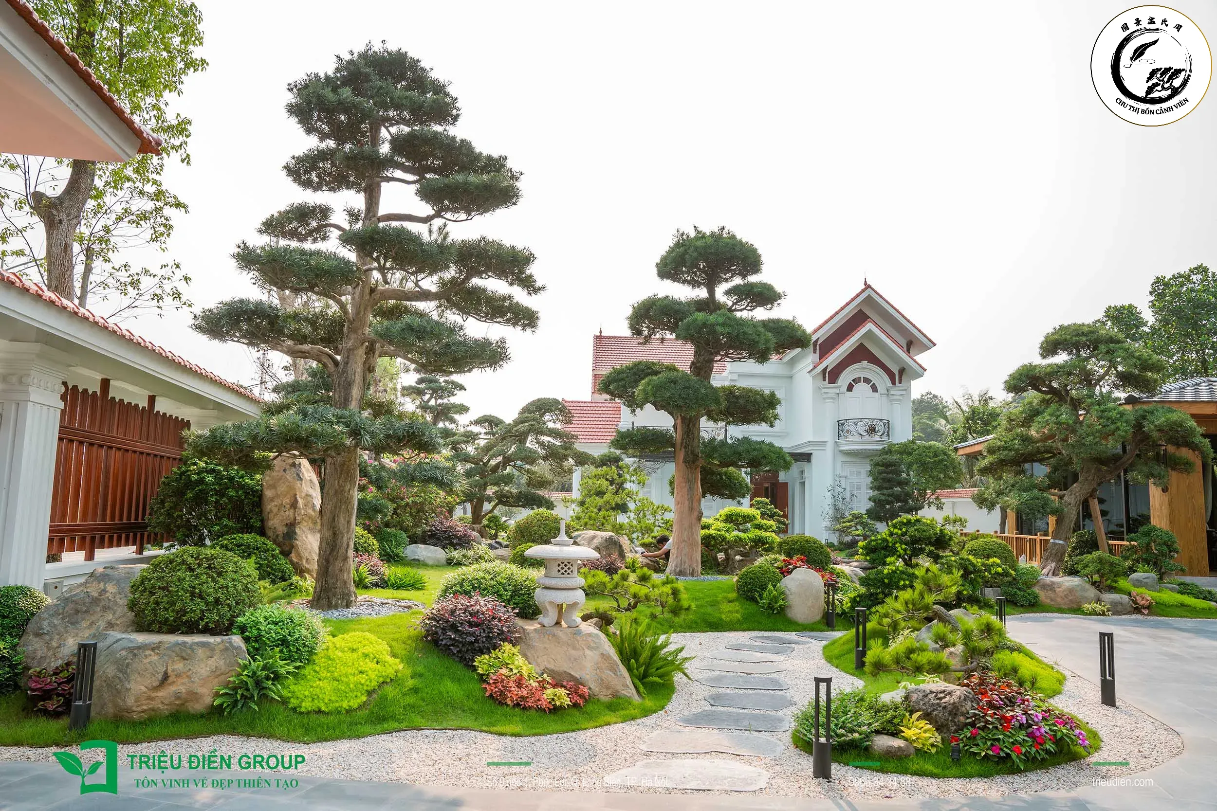 Cây lâm vồ bonsai mang lại vẻ đẹp sang trọng và bình yên cho không gian sống