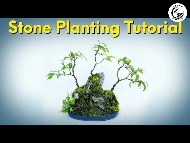 Vệ sinh đá kỹ lưỡng là bước quan trọng trước khi tiến hành phối cảnh