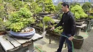techniques-watering Tưới nước đúng kỹ thuật giúp bộ rễ khỏe mạnh và kích thích cây ra hoa thường xuyên