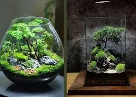 Sự kết hợp hài hòa giữa cây bonsai mini và lớp sỏi phủ bề mặt tạo nên vẻ đẹp hoàn mỹ