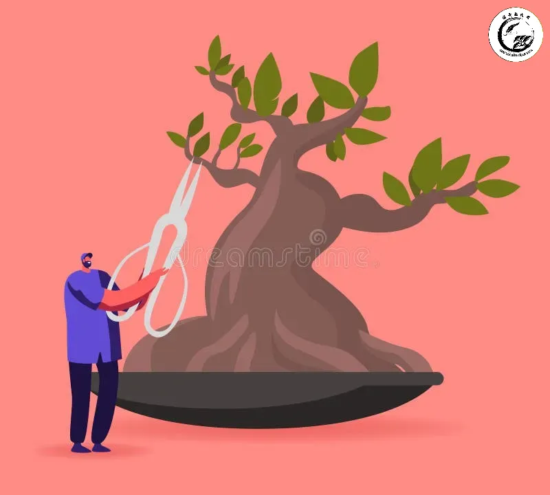 Thao tác bấm ngọn tỉ mỉ giúp kích thích phân chi dăm và thu nhỏ kích thước lá
