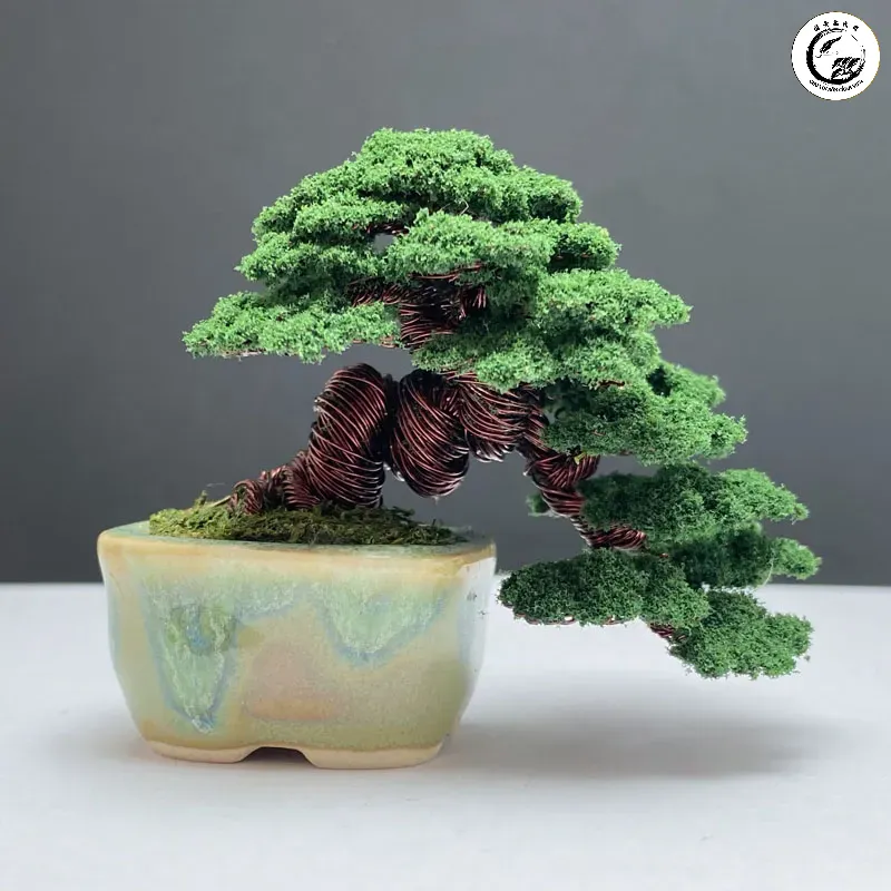 Kỹ thuật cố định cây bonsai vào chậu bằng dây kẽm chuyên nghiệp giúp cây ổn định phát triển