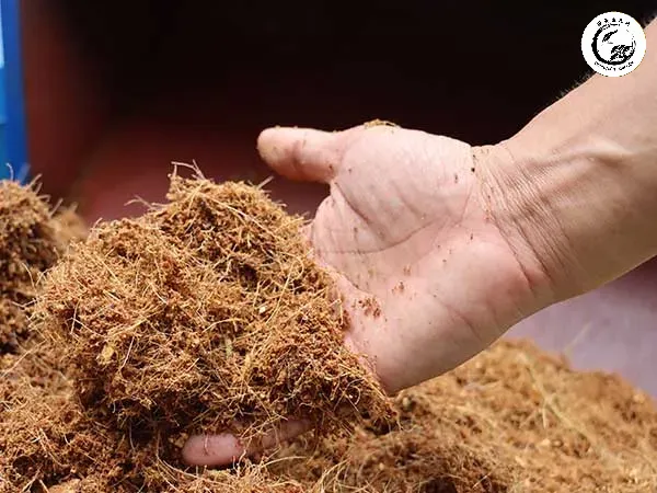 Bộ rễ phát triển khỏe mạnh nhờ cấu trúc đất thông thoáng và giữ ẩm tốt