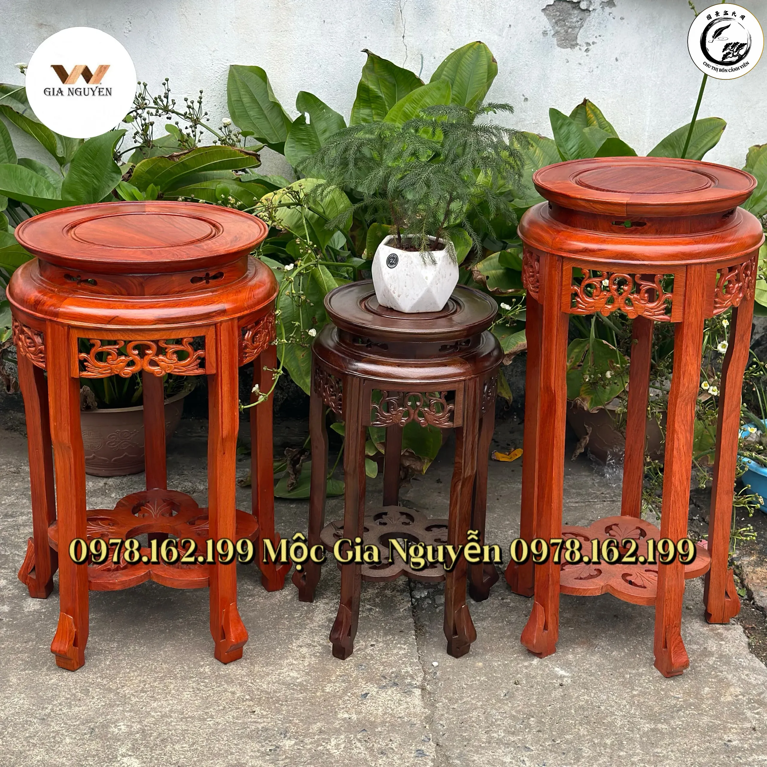 Sự kết hợp hoàn hảo giữa cây cảnh bonsai và đôn kỷ gỗ gụ tạo nên vẻ đẹp sang trọng cho phòng khách